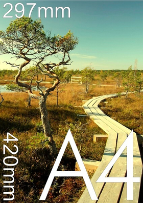 Flajeru druka A4 (210 x 297 mm)