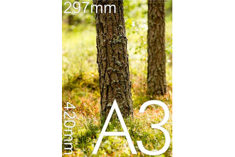 Mazformāta plakātu druka A3 formāta.